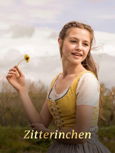 IPTV Kaufen | #1 Bester IPTV Anbieter in Deutschland